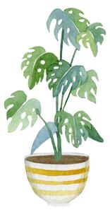 Ilustracija Watercolor green floral house plants illustration.Hand, Anna Tkachenko