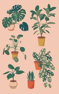 Ilustracija houseplants set, Alina Beketova, (26.7 x 40 cm)