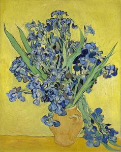 Vincent van Gogh - Reprodukcija umjetnosti Irises, 1890, (30 x 40 cm)