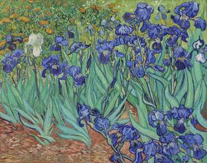 Gogh, Vincent van - Reprodukcija umjetnosti Irises, 1889, (40 x 30 cm)
