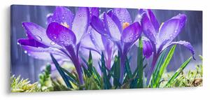 Slika cvijeća na kiši (120x50 cm)