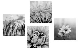 Set slika crno-bijela livada s cvijećem