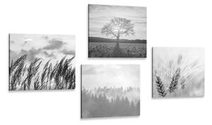 Set slika čarolija crno-bijelog krajolika