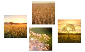 Set slika polje pri zalasku sunca