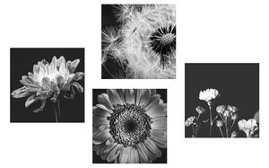 Set slika crno-bijelo nježno cvijeće
