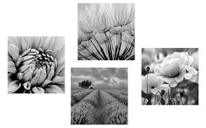 Set slika crno-bijela elegancija