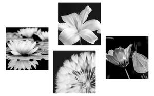 Set slika cvijeće s leptirom u crno-bijelom dizajnu