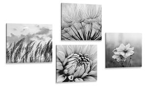 Set slika crno-bijela livada s cvijećem