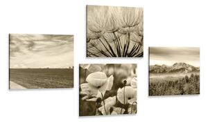 Set slika pejzaž u sepijastom tonu s cvijećem