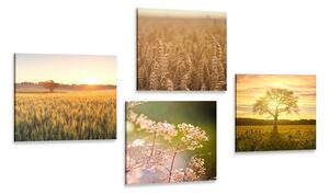 Set slika polje pri zalasku sunca