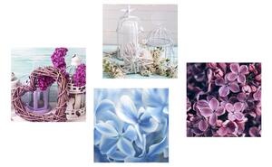 Set slika mrtva priroda - male lucerne i cvijeće