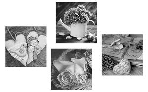 Set slika crno-bijela vintage mrtva priroda