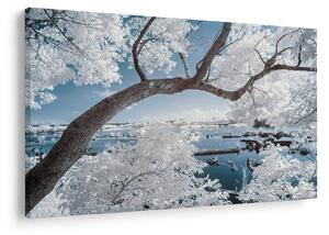 Slika snježnog stabla uz vodu (90x60 cm)