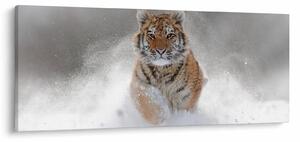Slika tigra koji trči u snijegu (120x50 cm)