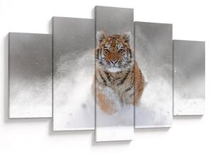 Slika tigra koji trči u snijegu (150x105 cm)