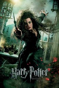 Ilustracija Harry Potter - Belatrix Lestrange, (26.7 x 40 cm)