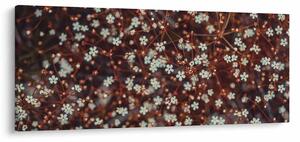 Slika cvijeta šumske potočnice (120x50 cm)
