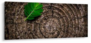 Slika lista na deblu drveta (120x50 cm)