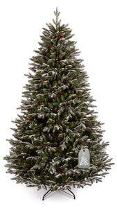 Božićno drvce Kanadska snježna smreka 180 cm