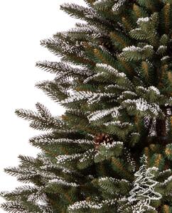 Kanadska snježna smreka 180 cm