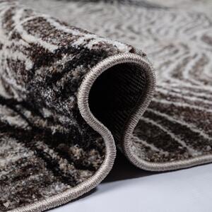 Sofisticirani smeđi tepih sa zanimljivim dizajnom Širina: 200 cm | Duljina: 290 cm