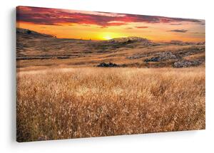 Slika polja (90x60 cm)