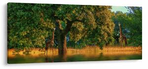 Slika žirafe u divljini (120x50 cm)