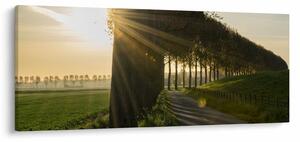 Slika aleja (120x50 cm)