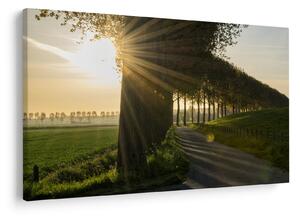 Slika aleja (90x60 cm)