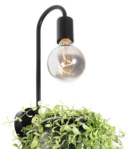 Moderna zidna svjetiljka crna sa staklom - Roslini