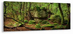 Slika čarobne šume (120x50 cm)