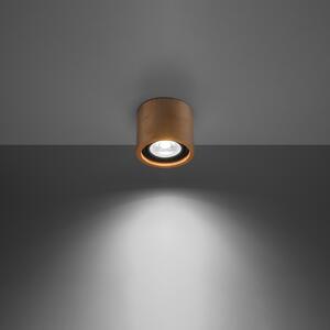 Plafond BASIC 1 prirodno drvo
