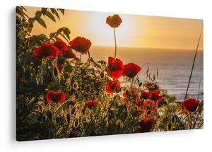 Slika zalaska sunca s makovima (90x60 cm)