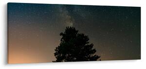 Slika noćnog neba s drvećem (120x50 cm)