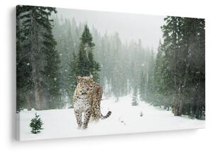 Slika leoparda u snijegu (90x60 cm)