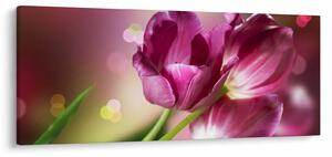 Slika ružičastih tulipana (120x50 cm)