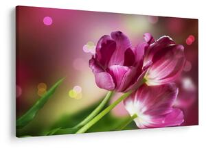 Slika ružičastih tulipana (90x60 cm)