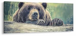 Slika medvjeda (120x50 cm)