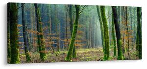 Slika šume (120x50 cm)
