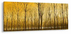 Slika šume pri zalasku sunca (120x50 cm)