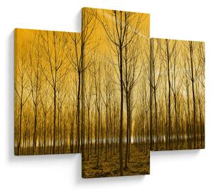 Slika šume pri zalasku sunca (90x60 cm)