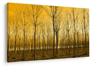 Slika šume pri zalasku sunca (90x60 cm)