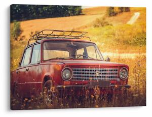 Slika automobila u polju (70x50 cm)