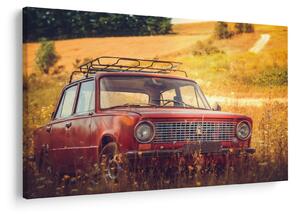 Slika automobila u polju (90x60 cm)