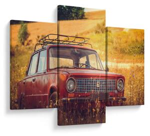 Slika automobila u polju (90x60 cm)