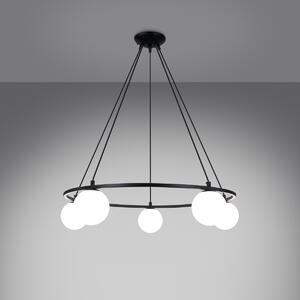 Luster YOLI 5