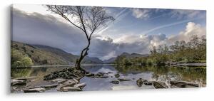Slika rijeke sa stablom (120x50 cm)