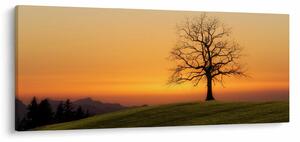 Slika zalaska sunca na livadi (120x50 cm)