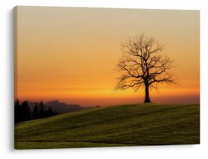 Slika zalaska sunca na livadi (70x50 cm)