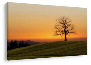 Slika zalaska sunca na livadi (90x60 cm)